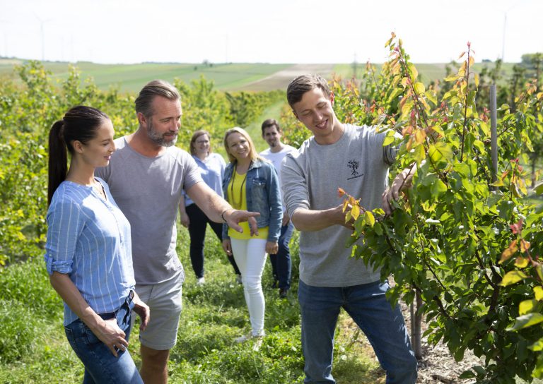 Baum und Rebschule Schreiber