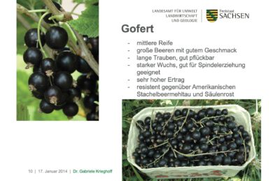 gofert