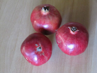Granatapfel Wonderful