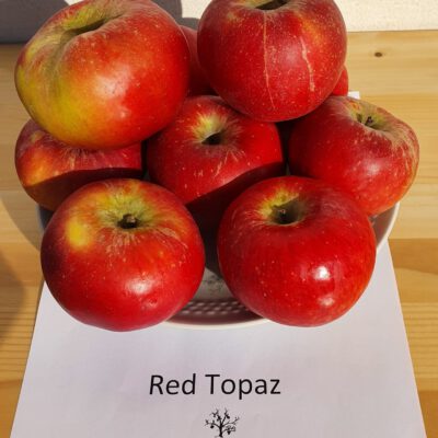 Red-Topaz-Kopie