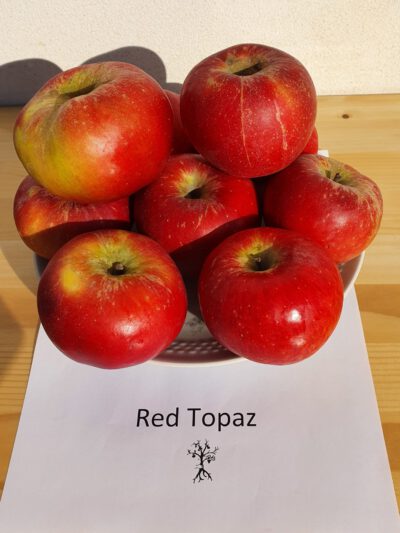 Red-Topaz-Kopie